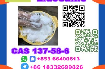  Manufacturer Supply Raw Material CAS 137586 Lidocaine